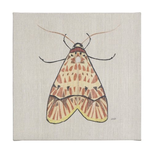 102217-L - Moth I by Mercana Studio a Hand Embellished Textured Canvas