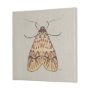 102217-L - Moth I by Mercana Studio a Hand Embellished Textured Canvas