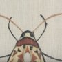 102217-L - Moth I by Mercana Studio a Hand Embellished Textured Canvas