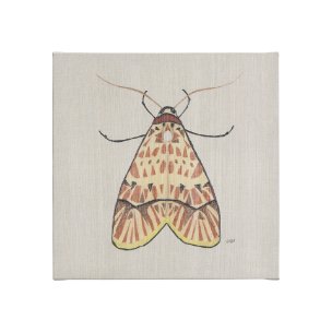 Moth I by Mercana Studio a Hand Embellished Textured Canvas