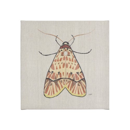 102217-S - Moth I by Mercana Studio a Hand Embellished Textured Canvas