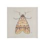 102217-S - Moth I by Mercana Studio a Hand Embellished Textured Canvas