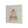 102217-S - Moth I by Mercana Studio a Hand Embellished Textured Canvas