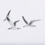 102164-L - Fly Away II by Mercana Studio a Hand Embellished Textured Canvas