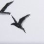 102164-S - Fly Away II by Mercana Studio a Hand Embellished Textured Canvas