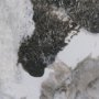 102189-S - Mudslide I by Mercana Studio a Hand Embellished Textured Canvas