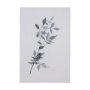 102193-L - Leaf Shadow I by Mercana Studio a Hand Embellished Textured Canvas