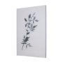 102193-L - Leaf Shadow I by Mercana Studio a Hand Embellished Textured Canvas