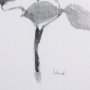 102194-L - Leaf Shadow II by Mercana Studio a Hand Embellished Textured Canvas