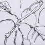102231-S - Plum Branch II by Mercana Studio a Hand Embellished Textured Canvas