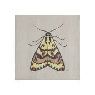 Moth III by Mercana Studio a Hand Embellished Textured Canvas