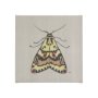 102219-S - Moth III by Mercana Studio a Hand Embellished Textured Canvas