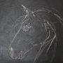 102229-S - Horse IV by Mercana Studio a Hand Embellished Textured Canvas