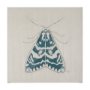 102216-L - Moth Blue III by Mercana Studio a Hand Embellished Textured Canvas