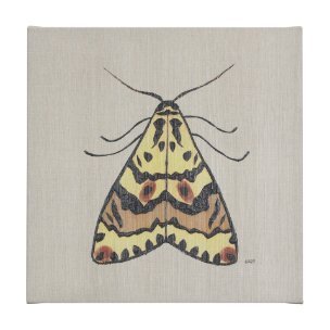Moth III by Mercana Studio a Hand Embellished Textured Canvas