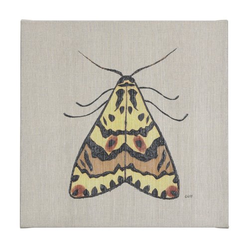 102219-L - Moth III by Mercana Studio a Hand Embellished Textured Canvas