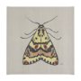 102219-L - Moth III by Mercana Studio a Hand Embellished Textured Canvas