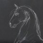 14294 - Horse IV by Mercana Studio a Hand Embellished Textured Framed Art Print Matted under Glass