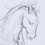 14301 - Horse I by Mercana Studio a Hand Embellished Textured Framed Art Print Matted under Glass