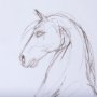 14302 - Horse II by Mercana Studio a Hand Embellished Textured Framed Art Print Matted under Glass