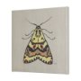 102219-L - Moth III by Mercana Studio a Hand Embellished Textured Canvas
