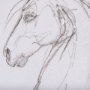 102227-S - Horse II by Mercana Studio a Hand Embellished Textured Canvas