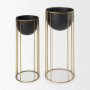 70099 - Danica Set of 2 Matte Black Metal Plant Stands