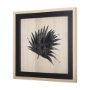 14342 - Tropican Leave II by Mercana Studio a Hand Embellished Textured Framed Art Print