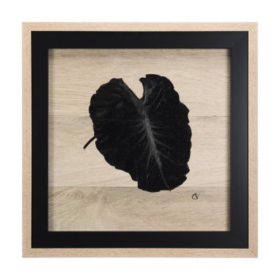 14343 - Tropican Leave III by Mercana Studio a Hand Embellished Textured Framed Art Print