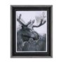 14349 - Animal Portrait I (Moose) by Mercana Studio Hand Embellished Framed Art Print Matted under Glass