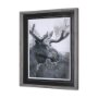 14349 - Animal Portrait I (Moose) by Mercana Studio Hand Embellished Framed Art Print Matted under Glass