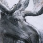 14349 - Animal Portrait I (Moose) by Mercana Studio Hand Embellished Framed Art Print Matted under Glass