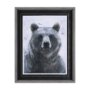 14351 - Animal Portrait III (Bear) by Mercana Studio Hand Embellished Framed Art Print Matted under Glass
