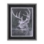 14352 - Animal Portrait IV (Deer) by Mercana Studio Hand Embellished Framed Art Print Matted under Glass