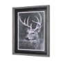 14352 - Animal Portrait IV (Deer) by Mercana Studio Hand Embellished Framed Art Print Matted under Glass