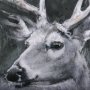 14352 - Animal Portrait IV (Deer) by Mercana Studio Hand Embellished Framed Art Print Matted under Glass