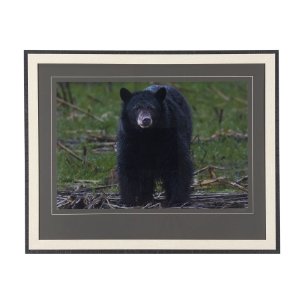 Standing Bear by Chad Mackay a Hand Embellished Textured Framed Photo Art Print Matted under Glass