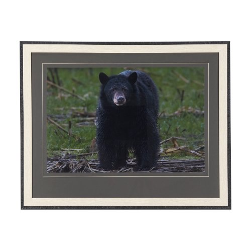 14362 - Standing Bear by Chad Mackay a Hand Embellished Textured Framed Photo Art Print Matted under Glass