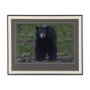 14362 - Standing Bear by Chad Mackay a Hand Embellished Textured Framed Photo Art Print Matted under Glass