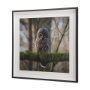 14365 - Forest Owl by Chad Mackay a Hand Embellished Textured Framed Photo Art Print Matted under Glass