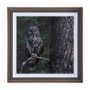14366 - Night Owl by Chad Mackay a Hand Embellished Textured Framed Photo Art Print Matted under Glass