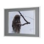 14367 - Grey Owl by Chad Mackay a Hand Embellished Textured Framed Photo Art Print Matted under Glass