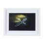 14368 - Dragon Fly by Mercana Studio a Framed Photo Art Print Matted under Glass