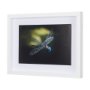 14368 - Dragon Fly by Mercana Studio a Framed Photo Art Print Matted under Glass