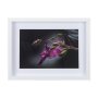 14369 - Honey Bee by Chad Mackay a Framed Photo Art Print Matted under Glass
