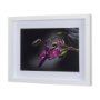 14369 - Honey Bee by Chad Mackay a Framed Photo Art Print Matted under Glass