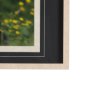 14371 - Bear by Chad Mackay a Framed Photo Art Print Matted under Glass