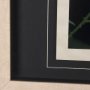 14371 - Bear by Chad Mackay a Framed Photo Art Print Matted under Glass