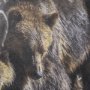 14372 - Mom and Cub by Chad Mackay a Hand Embellished Textured Framed Photo Art Print Matted under Glass