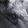 102280-L - Animal Portrait I by Mercana Studio a Hand Embellished Textured Canvas
